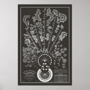 New York & Erie Railroad Org - Dark - Outline Poster