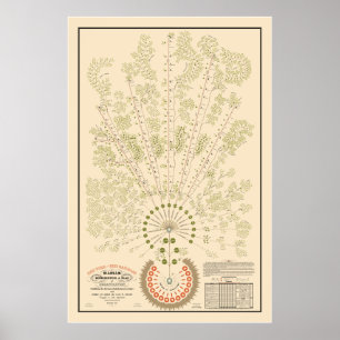 New York & Erie Railroad Org - Light - Colour Poster
