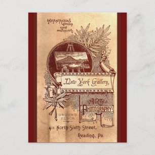 New York Gallery Postcard