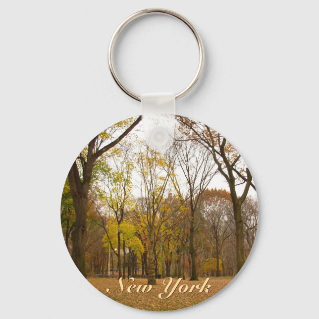 New York Landscape Key Chain New York Souvenirs (Front)