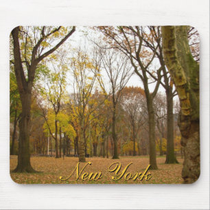New York Mousepad Central Park New York Gifts