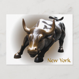 New York Postcard Bull Statue NYC Souvenir Card