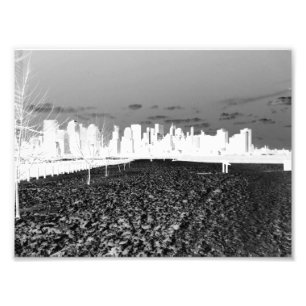 New York Snow Photo Print