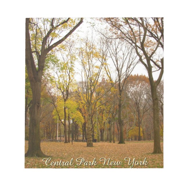 New York Souvenir Notepad Central Park NYC Gift (Front)