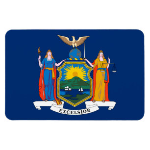 New York State flag Magnet