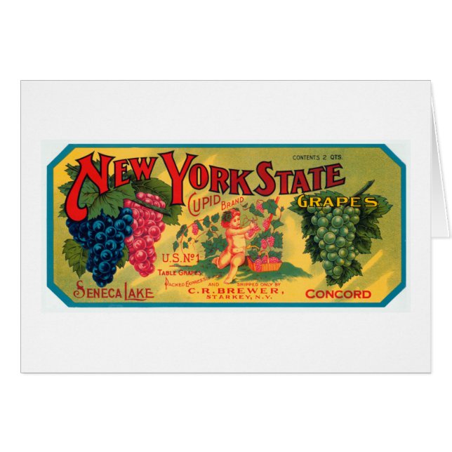 New York State Grapes (Front Horizontal)