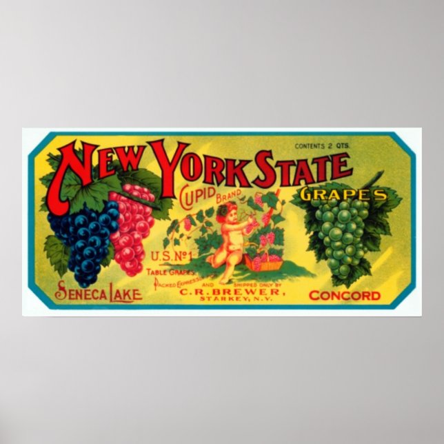 New York State Grapes Poster (Front)