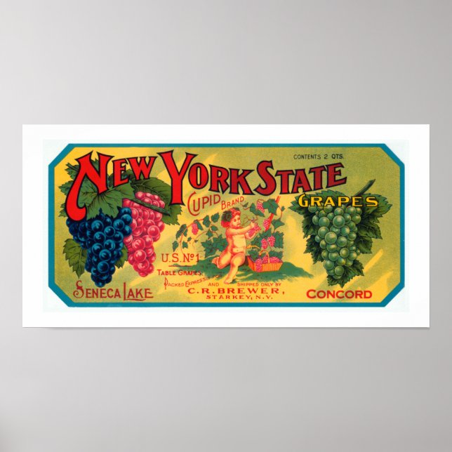 New York State Grapes Poster (Front)