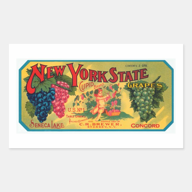 New York State Grapes Rectangular Sticker (Front)