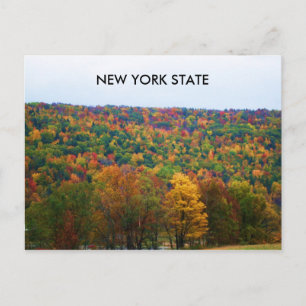 NEW YORK STATE IN AUTUMN postcard