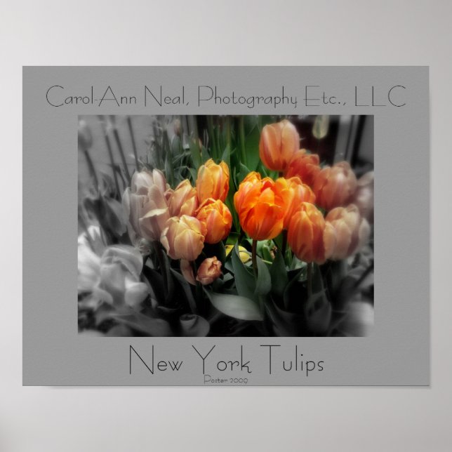 New York Tulips Poster (Front)