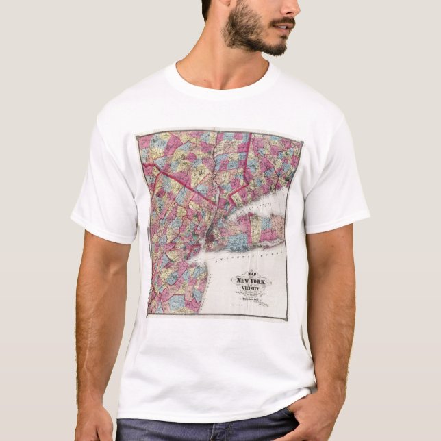 New York & vicinity T-Shirt (Front)