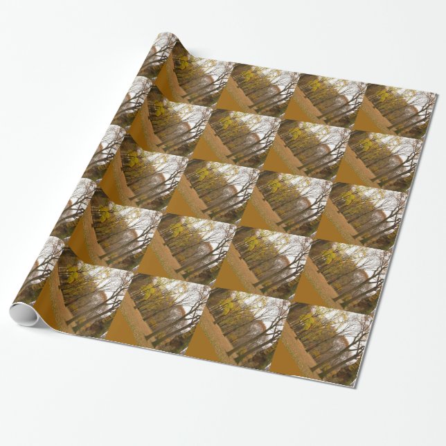 New York Wrapping Paper Central Park Gift Paper (Unrolled)