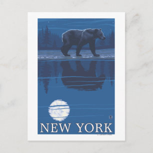 New YorkBear in the Moonlight Postcard