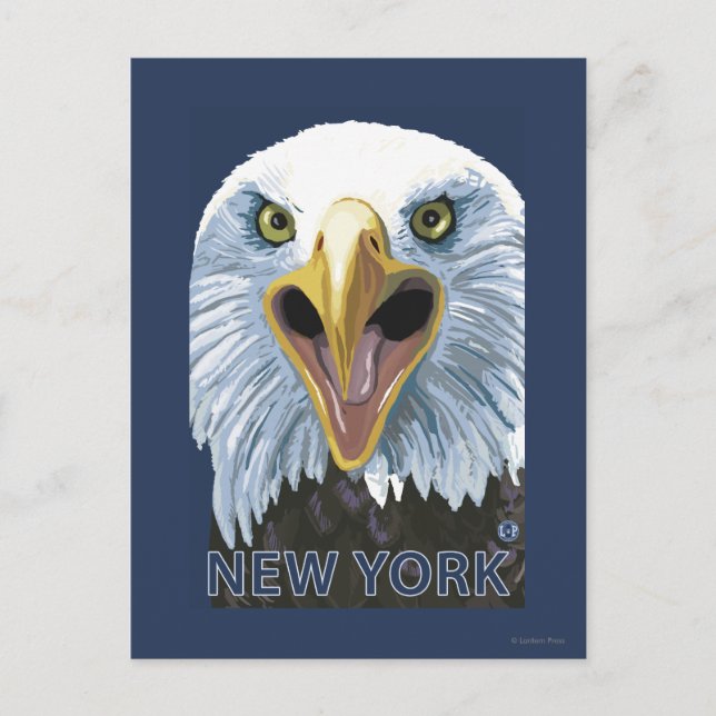 New YorkEagle Up Close Postcard (Front)