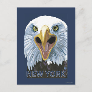 New YorkEagle Up Close Postcard