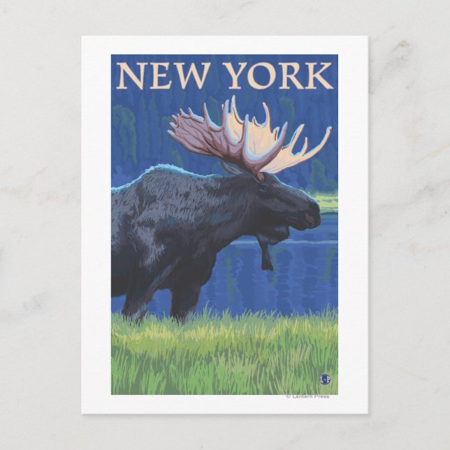 New YorkMoose in the Moonlight Postcard (Front)