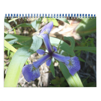 New Yorks Finest Landscapes Calendar