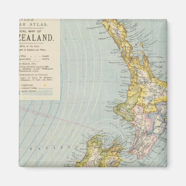 New Zealand 4 Magnet (Front)