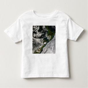 New Zealand 5 Toddler T-Shirt