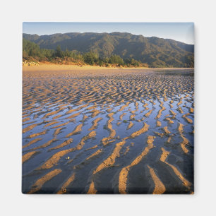 New Zealand, Abel Tasman National Park, Coast 2 Magnet