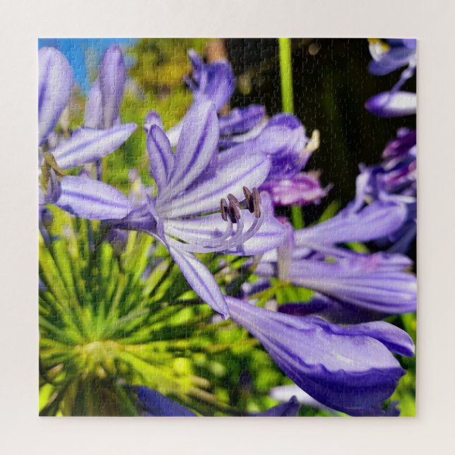 New Zealand Agapanthus Violet Flower Blooming Jigsaw Puzzle (Vertical)