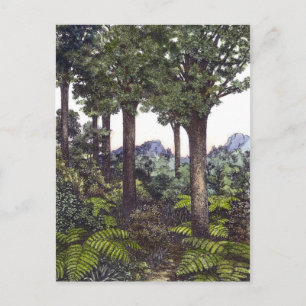 New Zealand Bush Postcard
