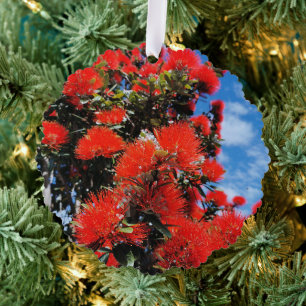 New Zealand Christmas tree  Decoration Card