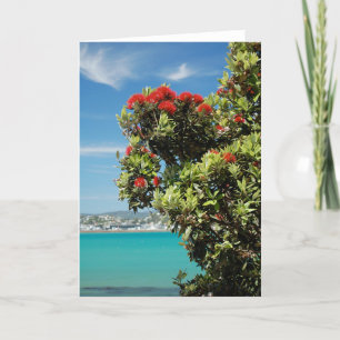New Zealand Christmas Tree, the Pohutukawa Holiday Card