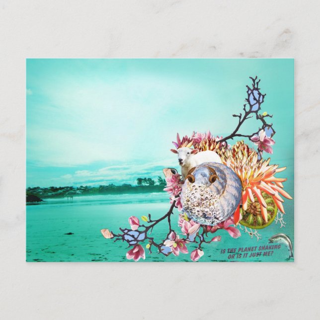 New Zealand collage Postcard (Front)