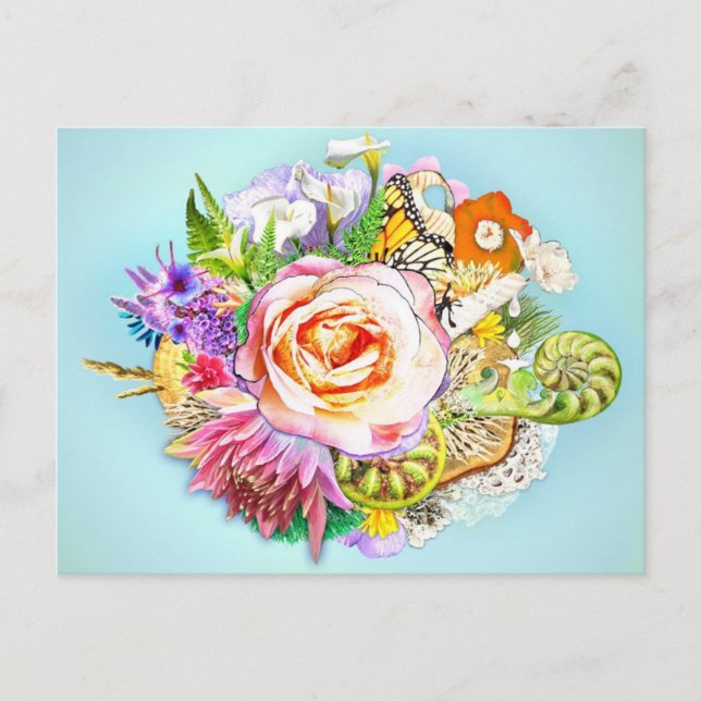 New Zealand collage Postcard (Front)