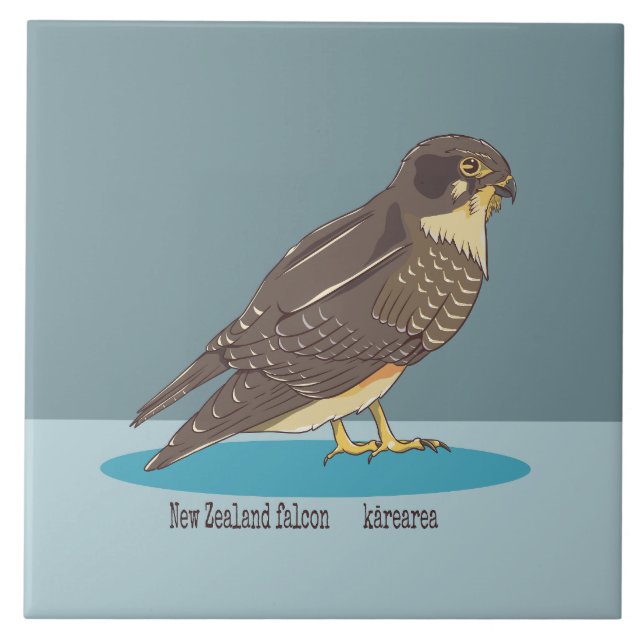 New Zealand Falcon Karearea Ceramic Tile (Front)