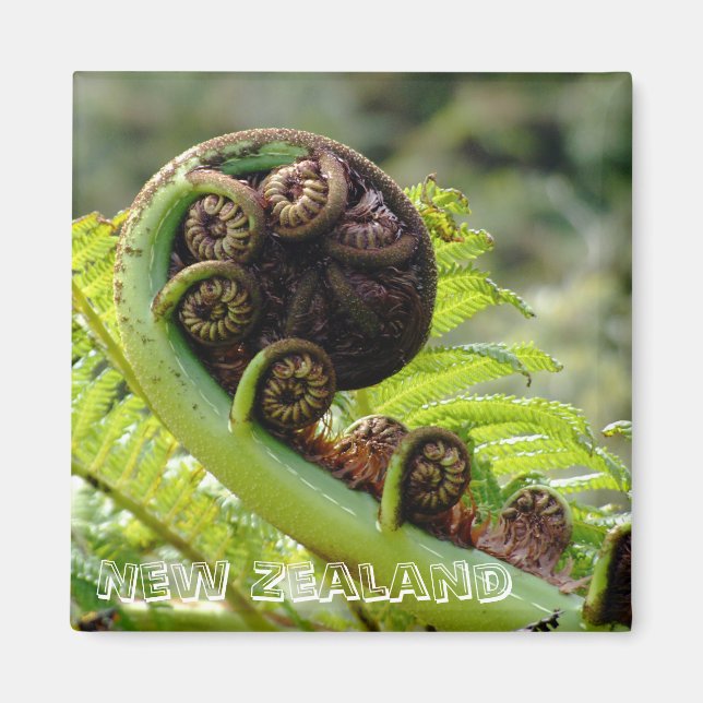 New Zealand, Iconic fern leaf (Fridge Magnet) Magnet (Front)