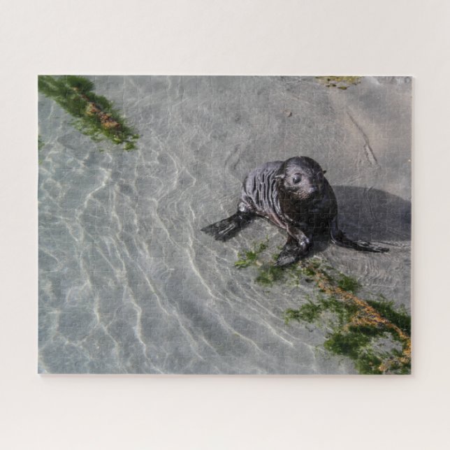 New Zealand Jigsaw Puzzle - Seal pup Wharariki (Horizontal)