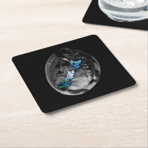NEW ZEALAND KIWI MAP PAUA SQUARE PAPER COASTER
