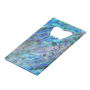 NEW ZEALAND KIWI PAUA