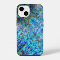NEW ZEALAND KIWI PAUA