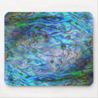 NEW ZEALAND KIWI PAUA