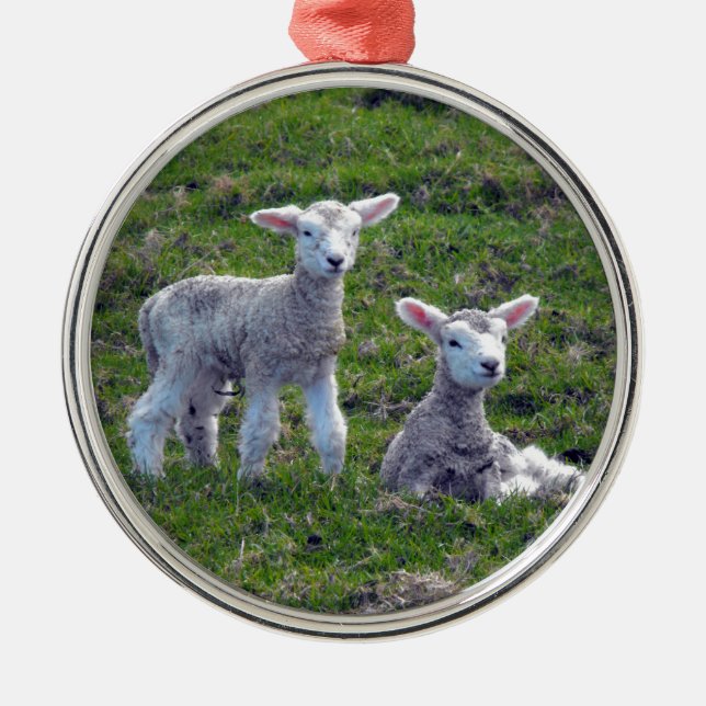 New Zealand Lambs Metal Tree Decoration (Front)
