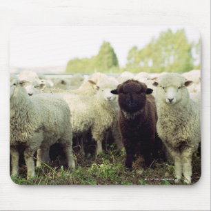 New Zealand Mouse Pad