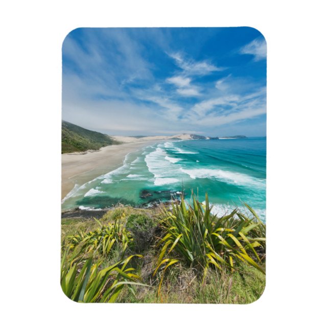 New Zealand, North Island, Cape Reinga 2 Magnet (Vertical)