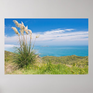 New Zealand, North Island, Cape Reinga 2 Poster
