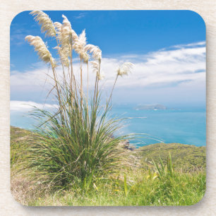 New Zealand, North Island, Cape Reinga Coaster