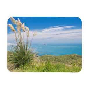 New Zealand, North Island, Cape Reinga Magnet