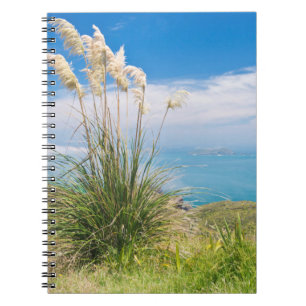 New Zealand, North Island, Cape Reinga Notebook