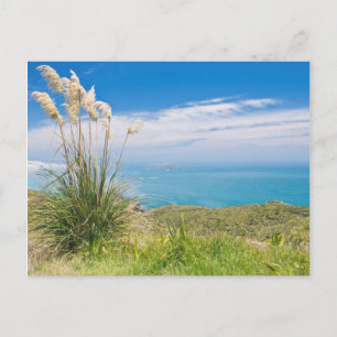 New Zealand, North Island, Cape Reinga Postcard