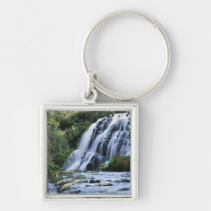 New Zealand, North Island, Karangahake Gorge, Key Ring
