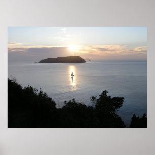New Zealand Posters