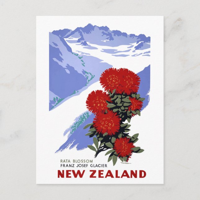 New Zealand Rata Blossom Vintage Travel Poster Postcard (Front)