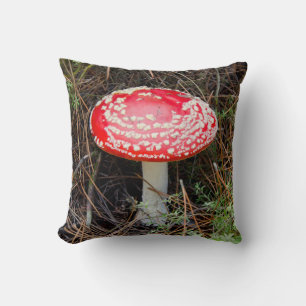 New Zealand, Rotorua, Taupo Volcanic Zone Cushion